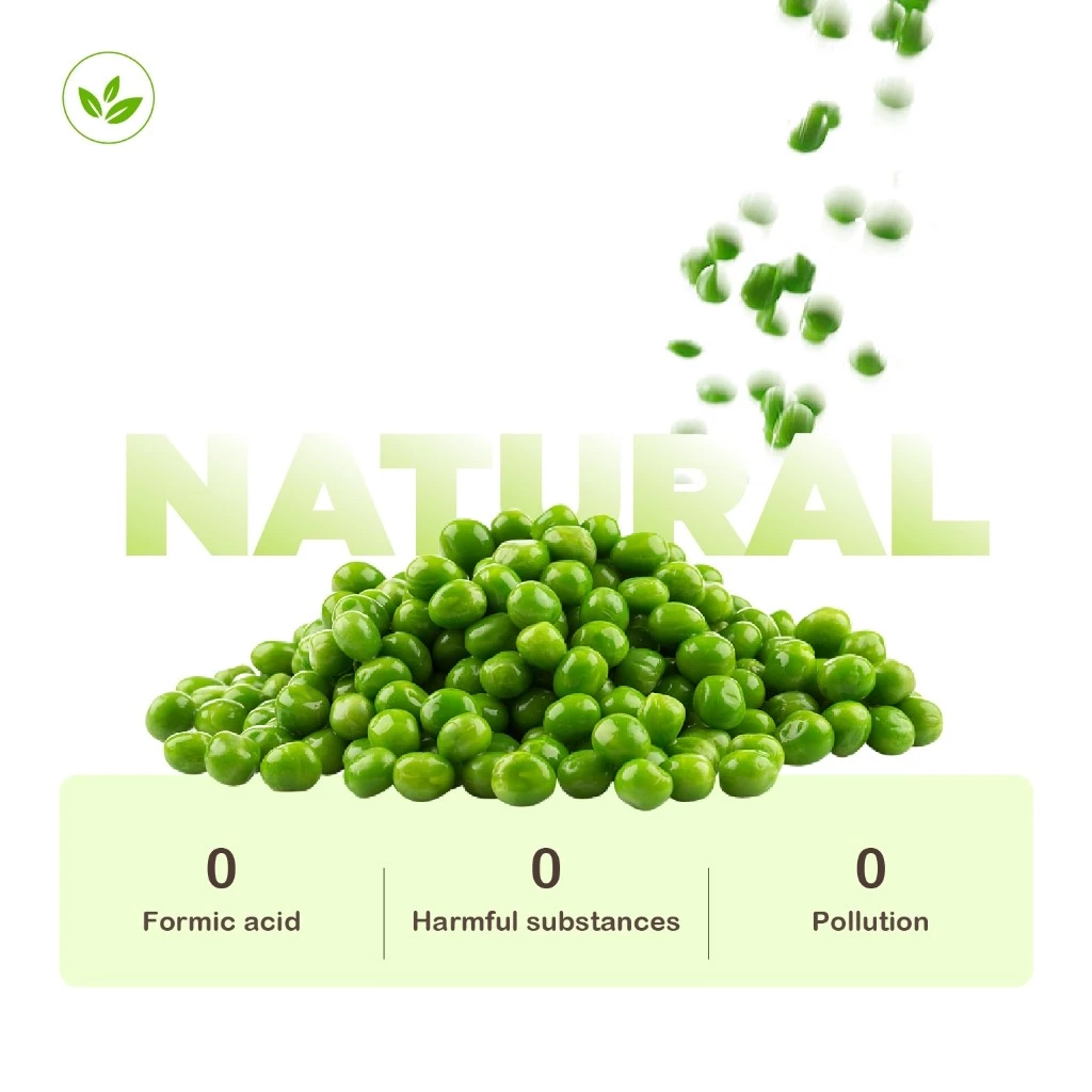 Cat Litter Essentials Combo