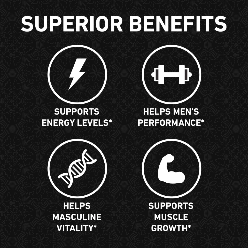 Nano Singapore Men’s Power & Vitality Combo – Tongkat Ali Plus, Multivitamin, Omega 3 for Energy, Performance & Strength