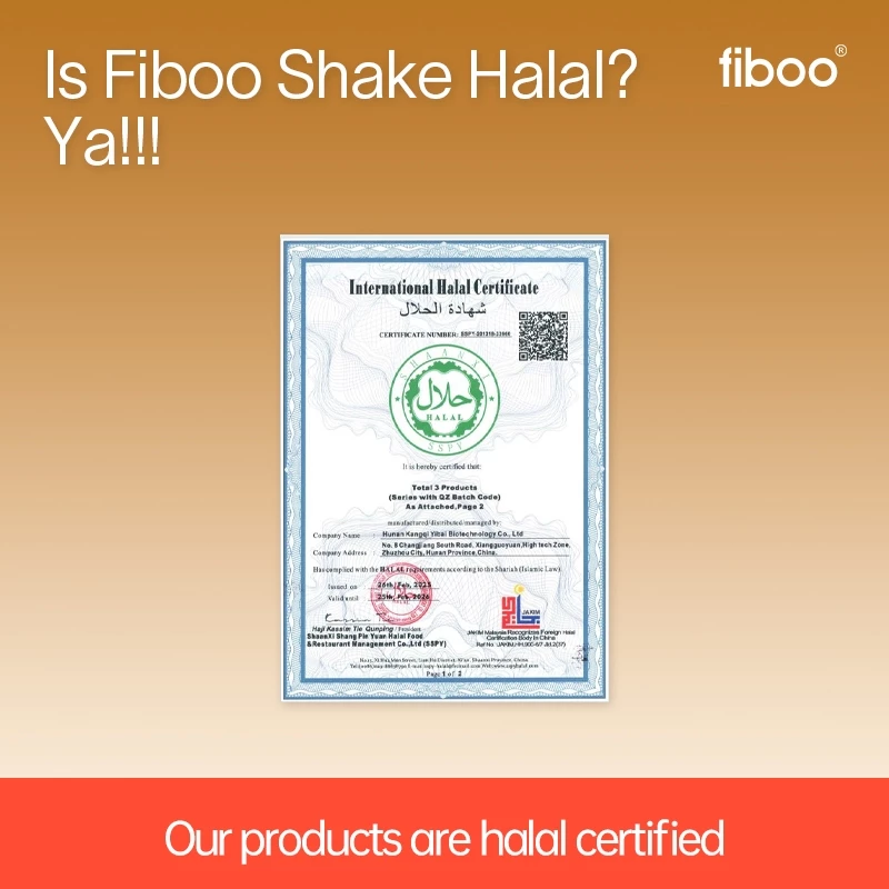 Fiboo Whey Protein Diet Shake Diet Grain Meal Replacement For Weight Loss (280g/400g)