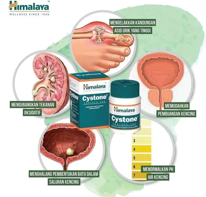 [NEW STOCK : JUL 2027💯] HIMALAYA CYSTONE 60’S