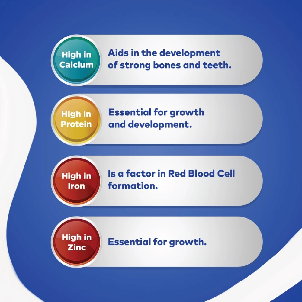 (Bundle of 3) Fernleaf Family Milk Powder - Chocolate (850g)