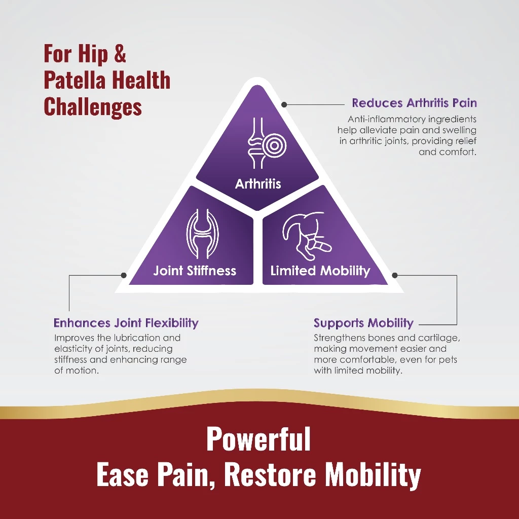 Pureen ABD Antibacterial Liquid Detergent (4800ML)