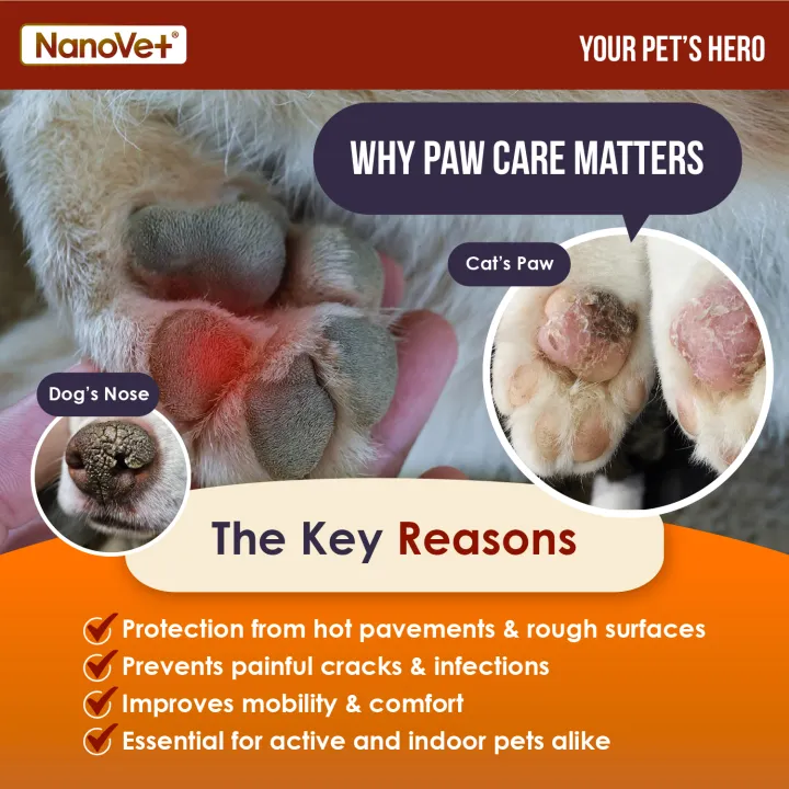 Nanovet® Pet Pure Argan Oil for Cat and Dog (50ml)