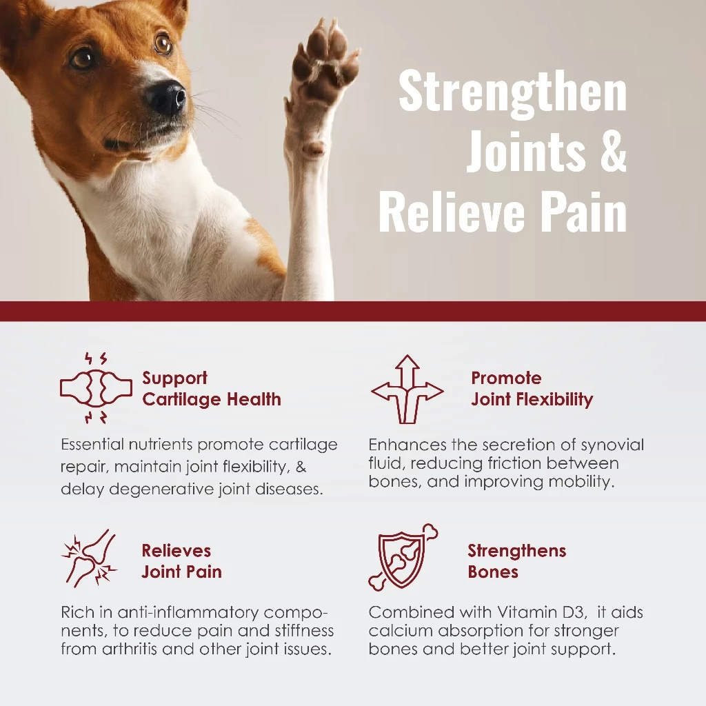 Predator Raw Life Hip & Joint Pet Supplement Boost Joint Pain Glucosamine Chondroitin Arthritis (30 Capsules)